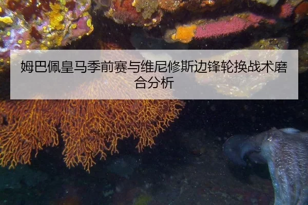 姆巴佩皇马季前赛与维尼修斯边锋轮换战术磨合分析